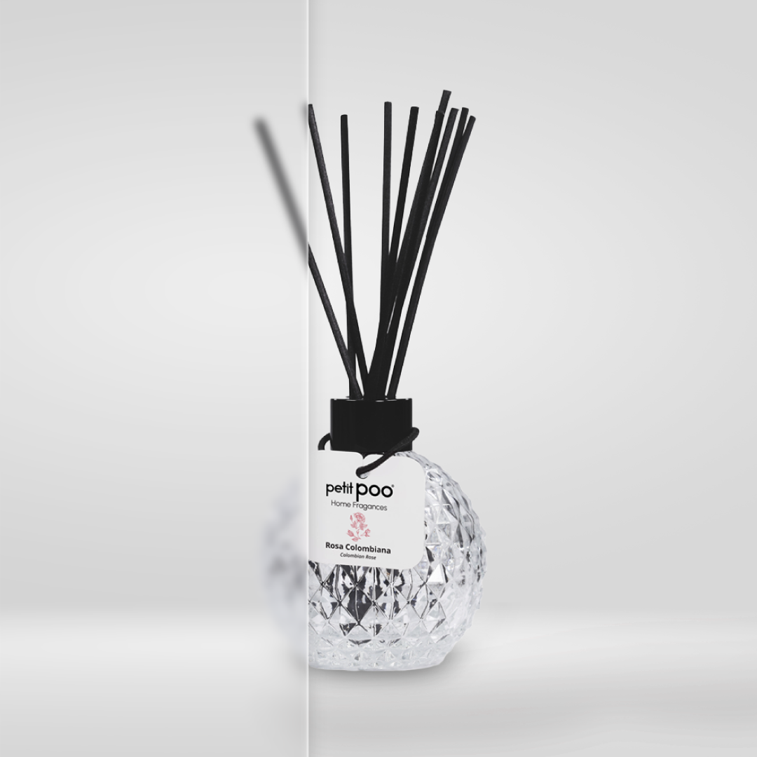 Kit Hogar Completo petitPOO | Pack Premium 4 Goteros + 2 Reed Diffuser -15%Off + Envío GRATIS